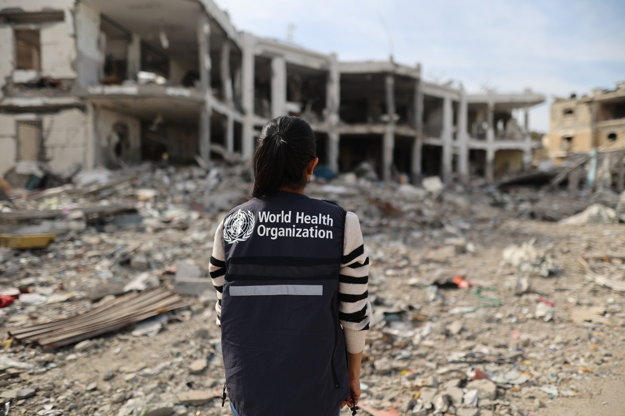 Mid-term results report 2024-2025 Mid-term results report 2024-2025