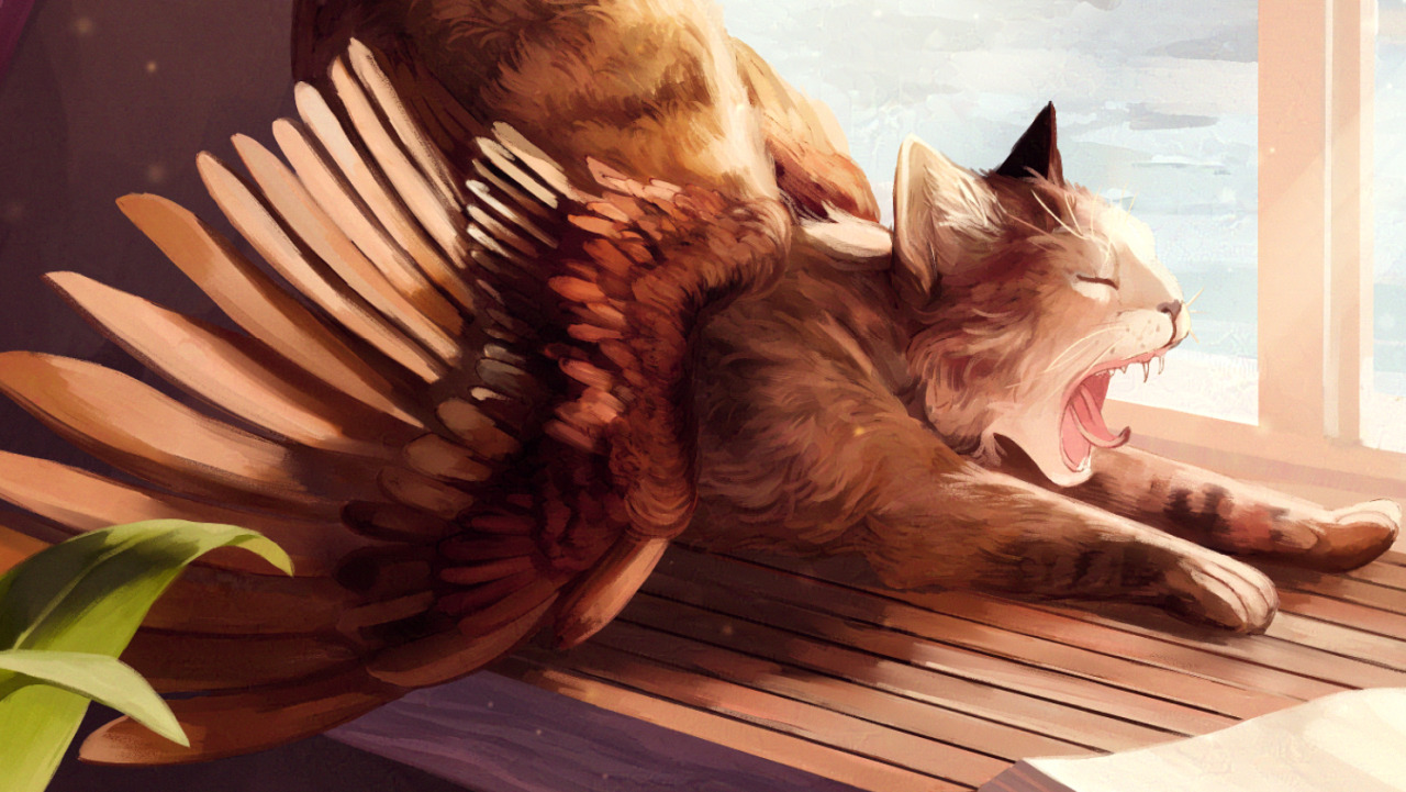 Close up of a winged calico cat yawning on a window sill.