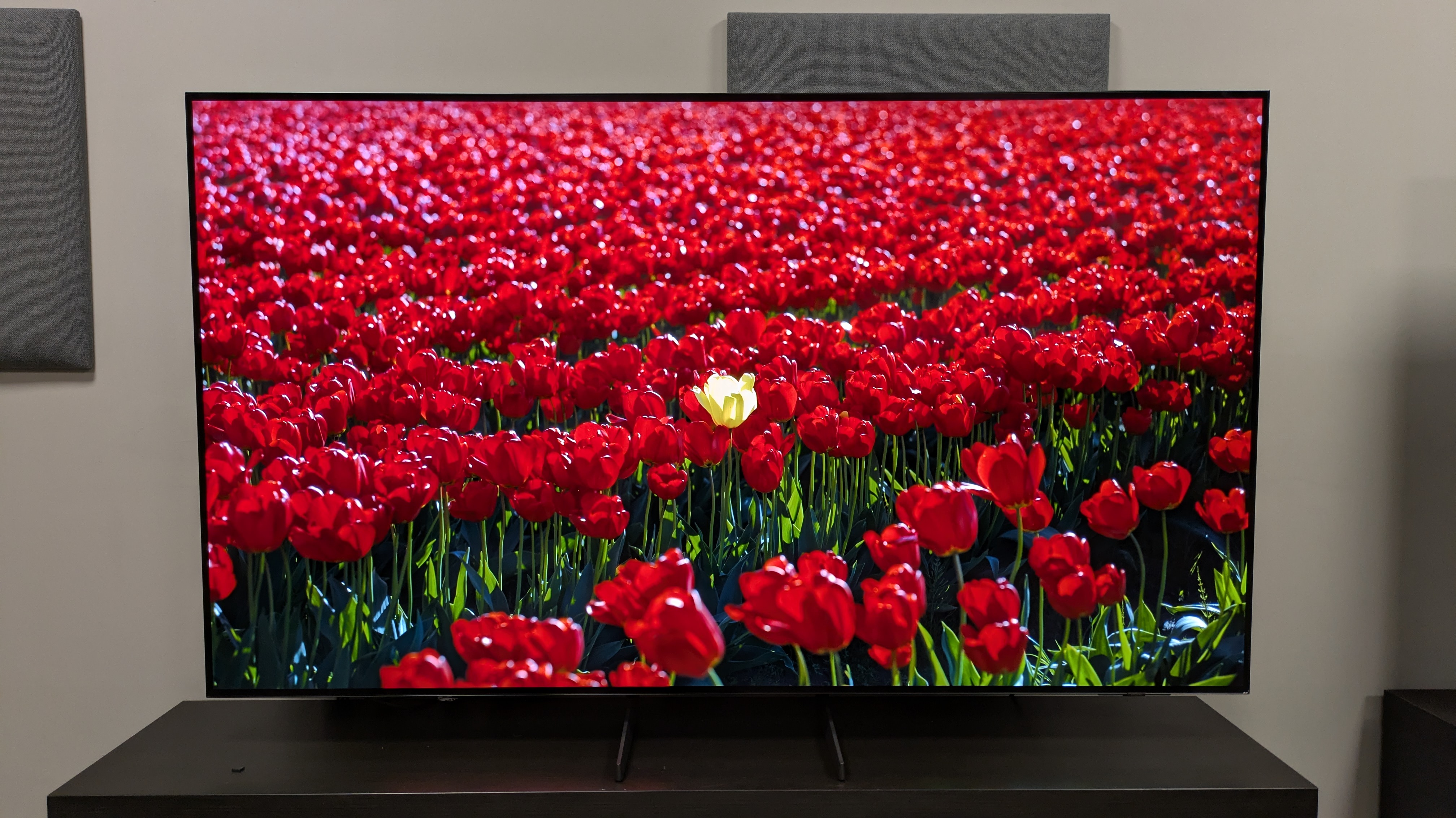 Samsung S85F with red flowers on screen