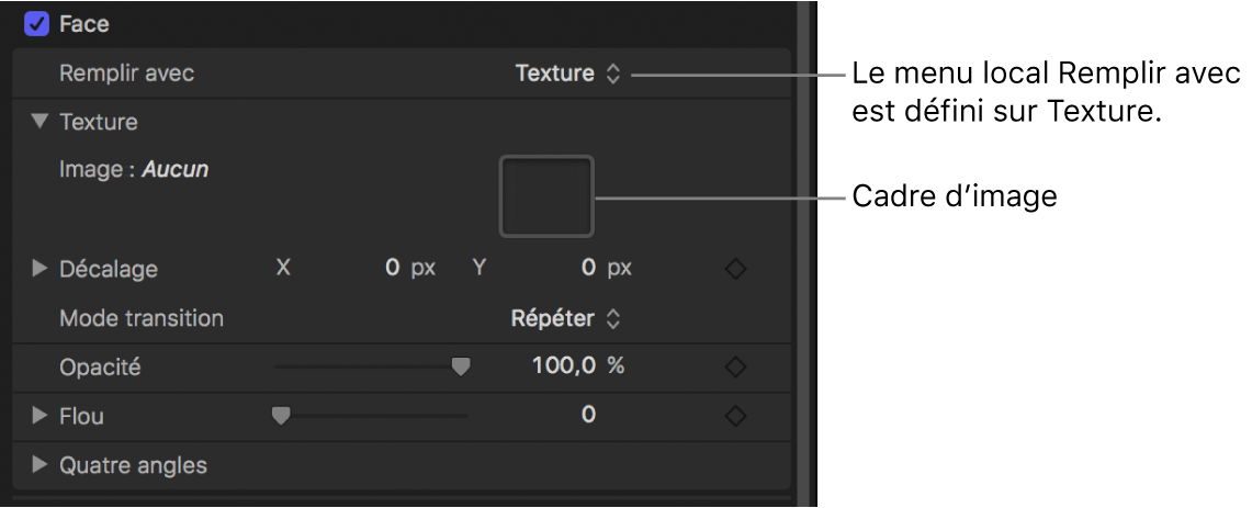 Inspecteur de texte avec paramètre « Remplir avec » du style de texte réglé sur Texture, révélant le cadre d’image