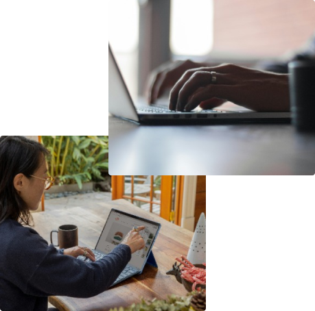 People using laptops