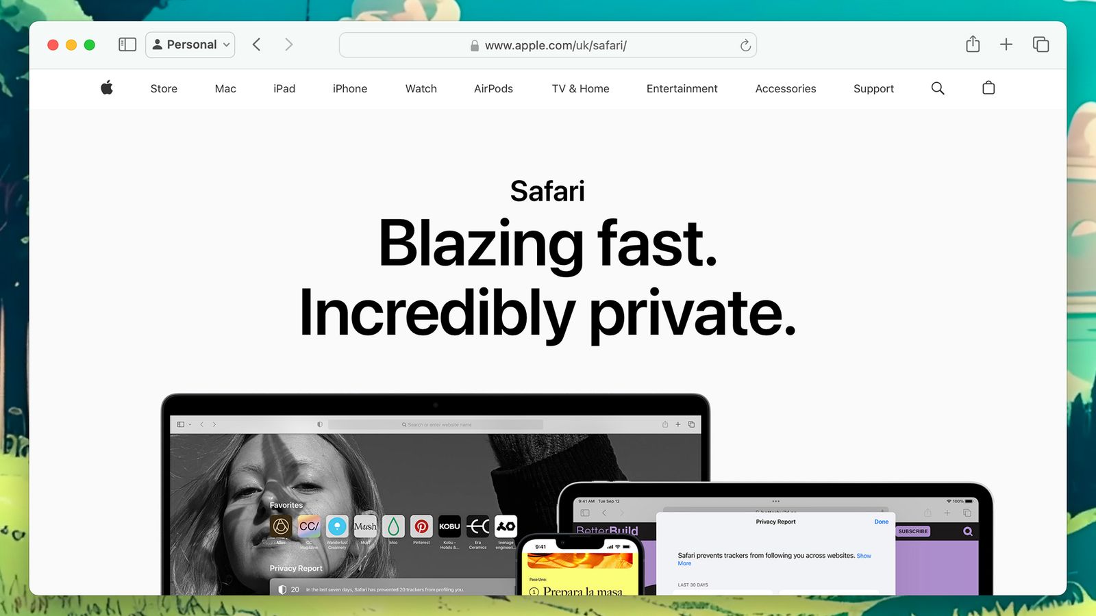 Safari browser