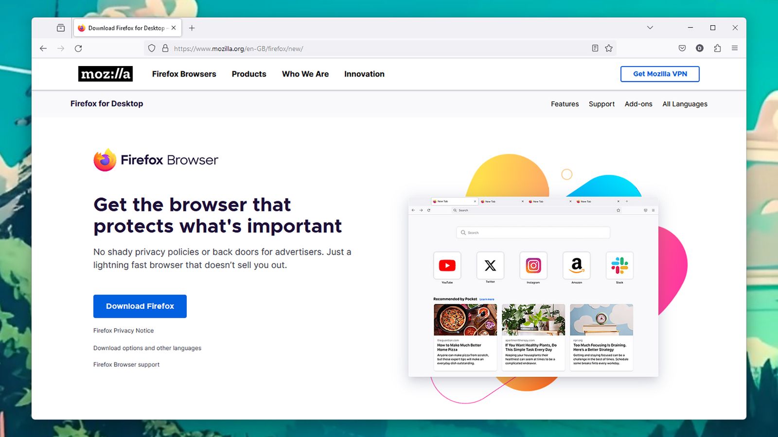 Firefox browser