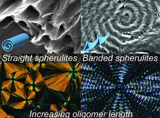 Scanning electron micrographs and X-ray scattering profiles